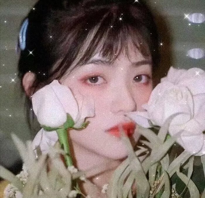 戆叔儍侄
